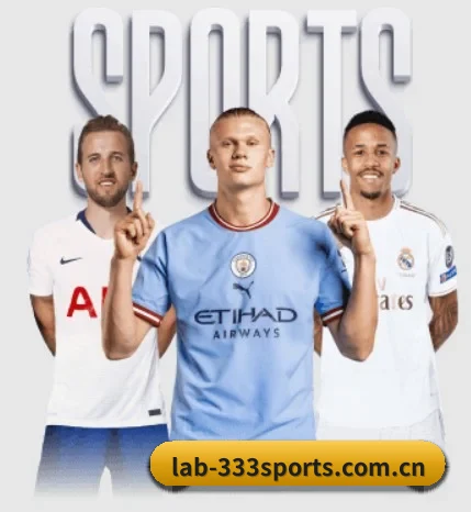 333体育app的故事